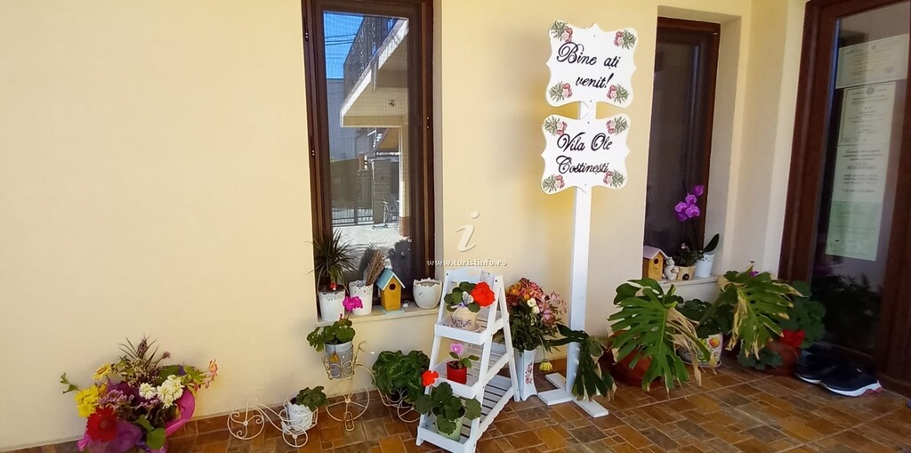Casa Ole
