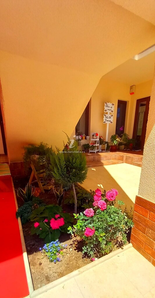 Casa Ole