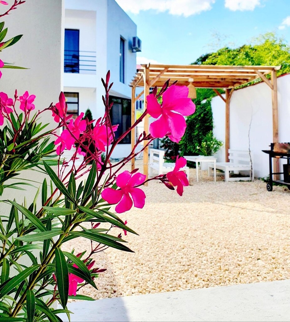 Vila Argo