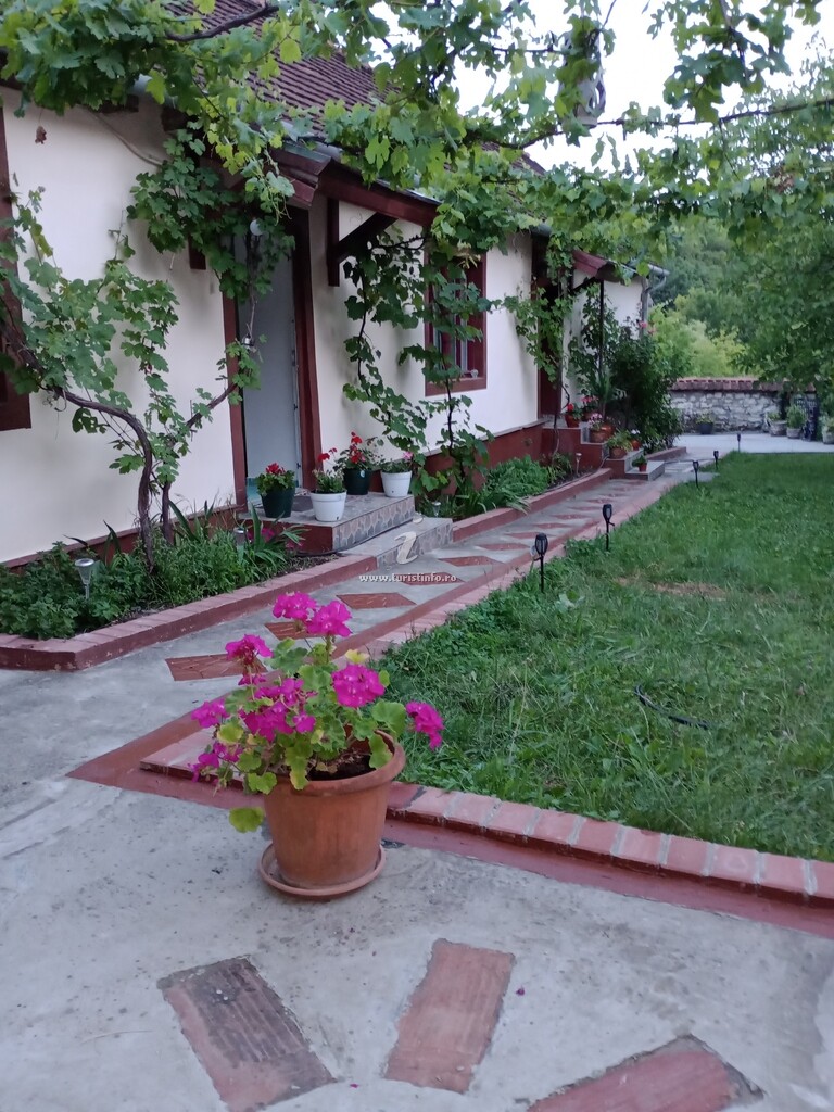 Casa de vacanță Drăgoi - Socolari