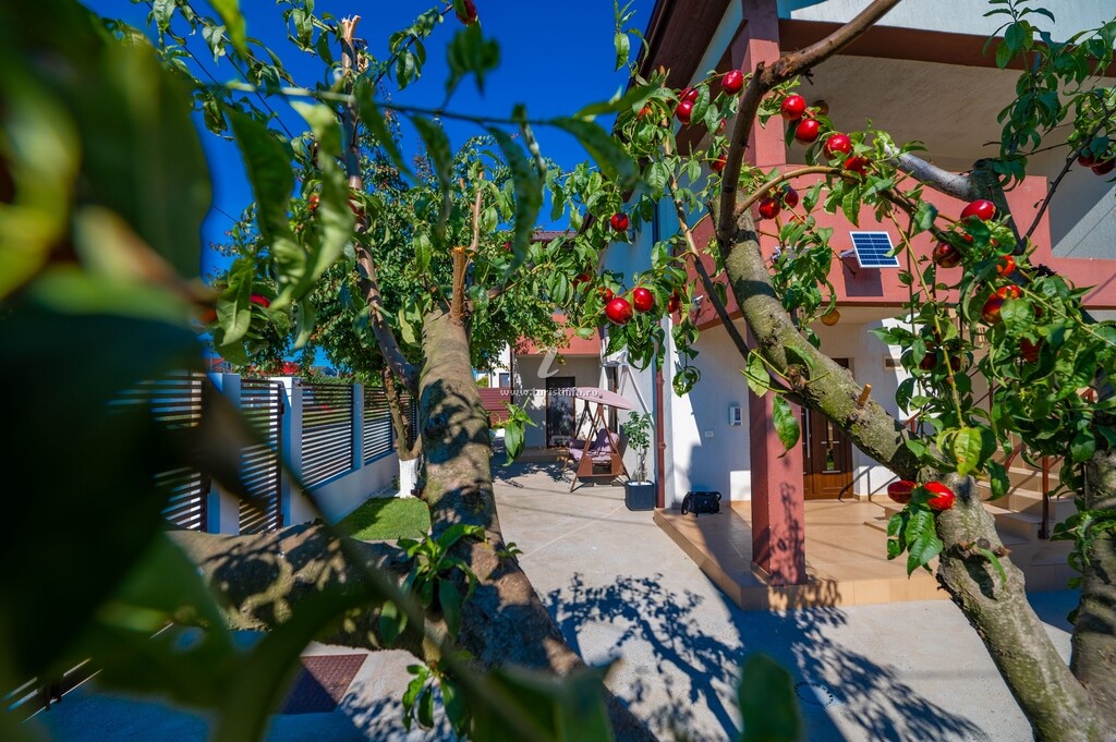 Casa Voicu