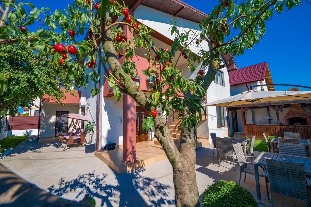 Casa Voicu
