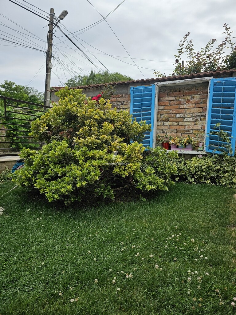 Vila Maia