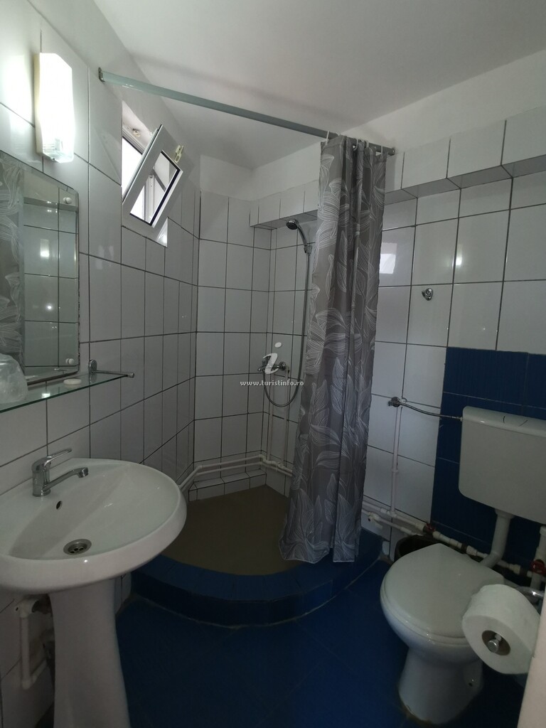 Vila Vlad
