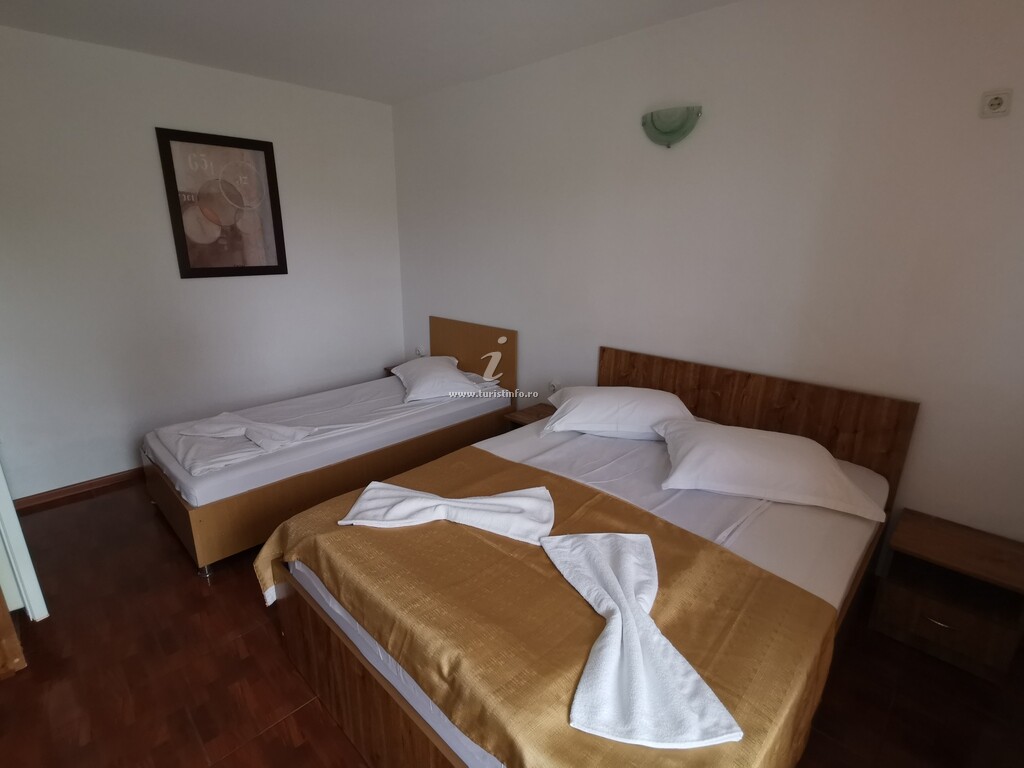 Vila Vlad