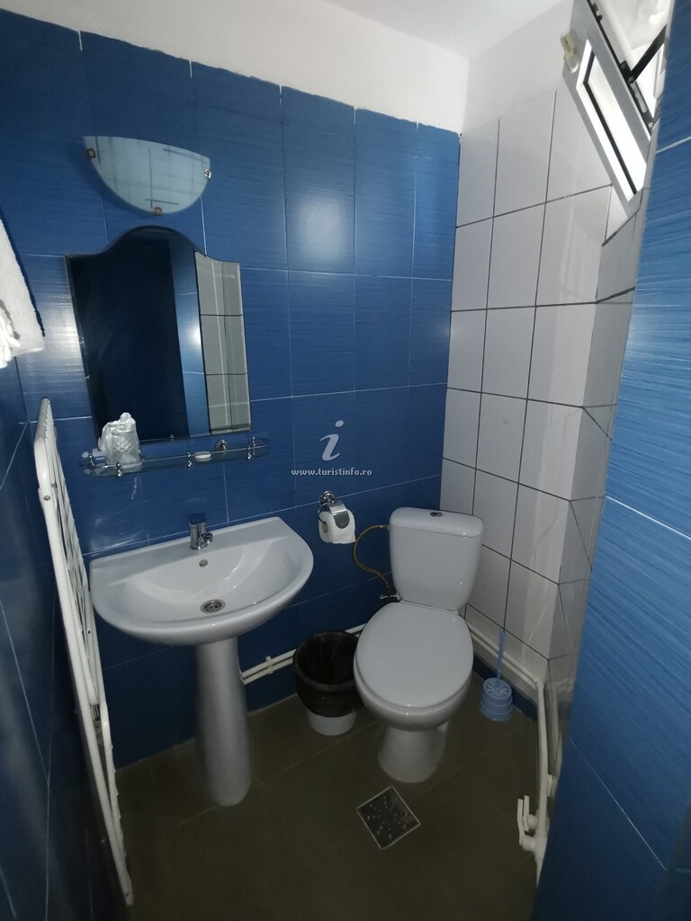 Vila Vlad