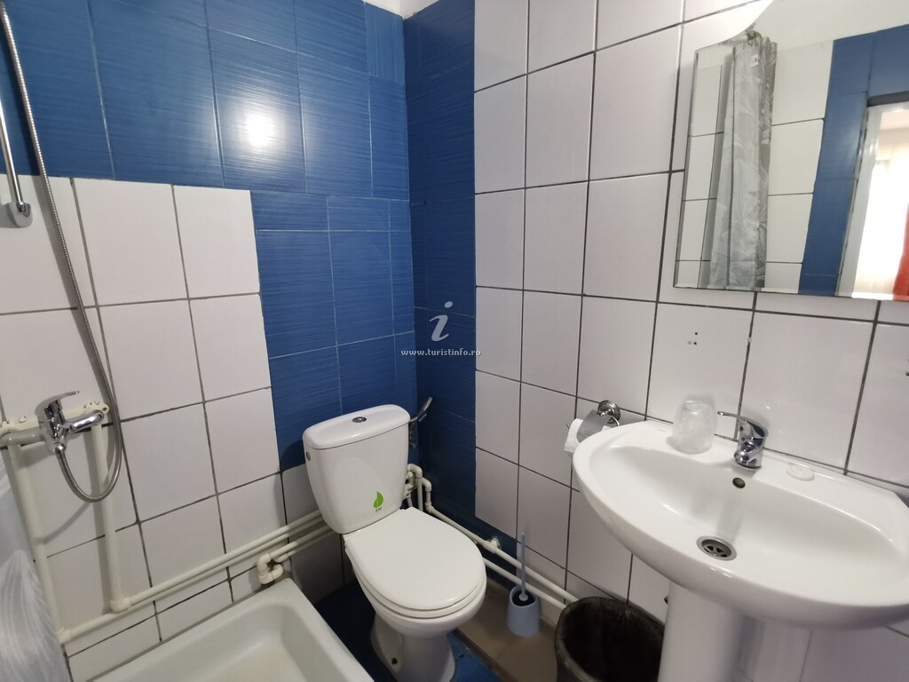 Vila Vlad