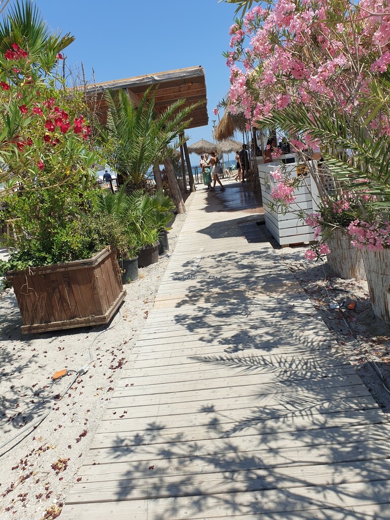 Garsoniera Summer Land