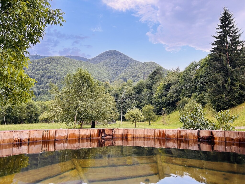 Casa de vacanță Timber Charm Chalet