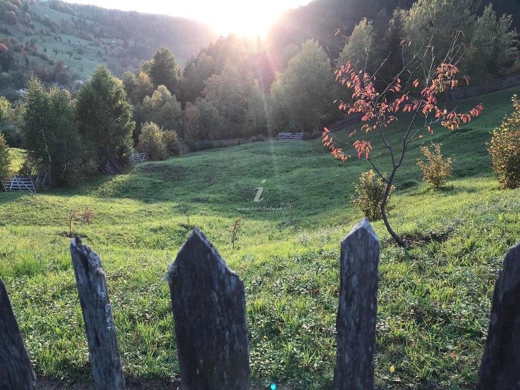 La Căsuța cu Cerdac Audia