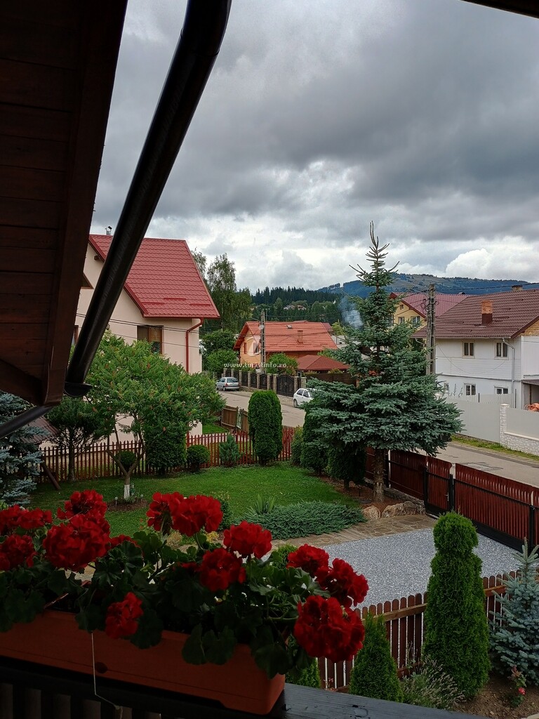 Casa Nico & Ștef