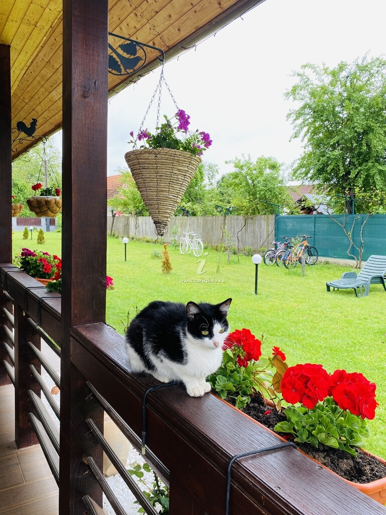 Vila Serenity Garden