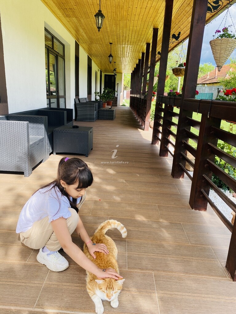 Vila Serenity Garden