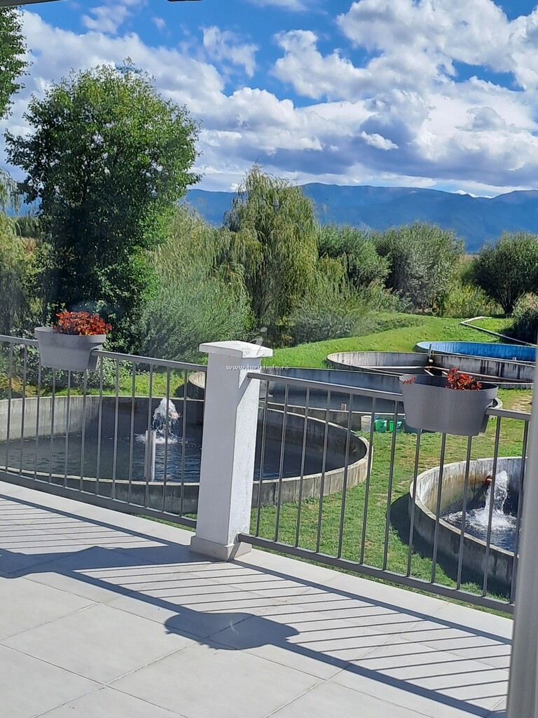 Pensiunea La Izvoare Păstrăvărie
