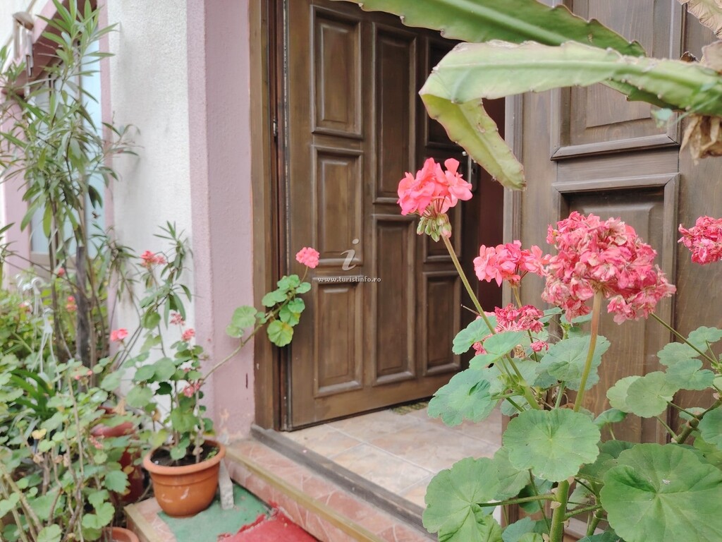 Casa Graur