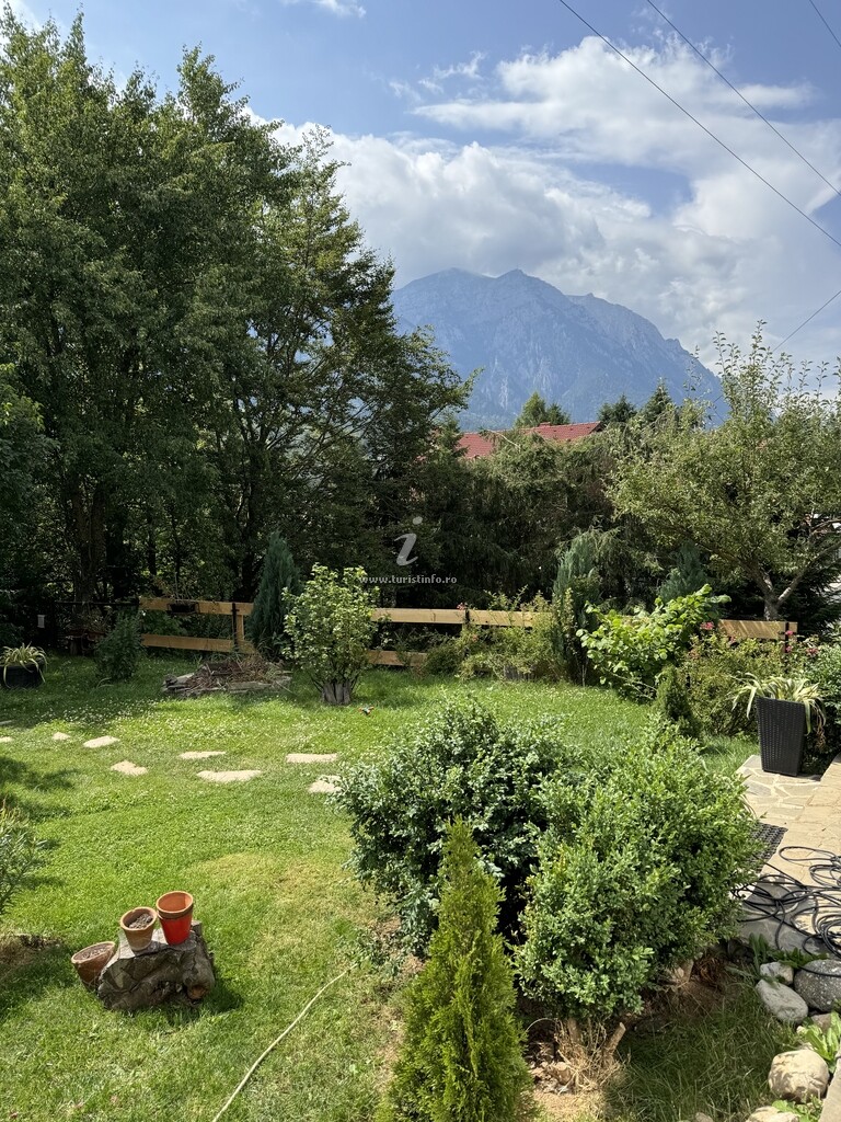 Cabana Bohemian Chalet