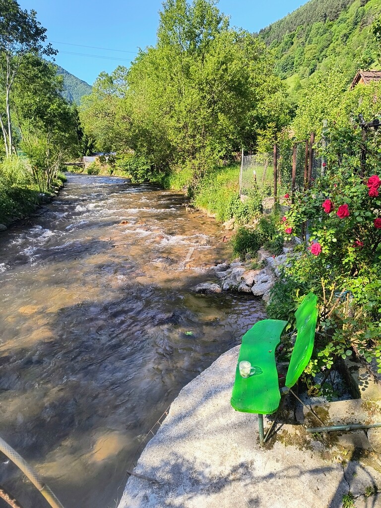 Casa de vacanță Vidrighin