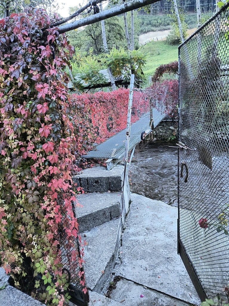 Casa de vacanță Vidrighin