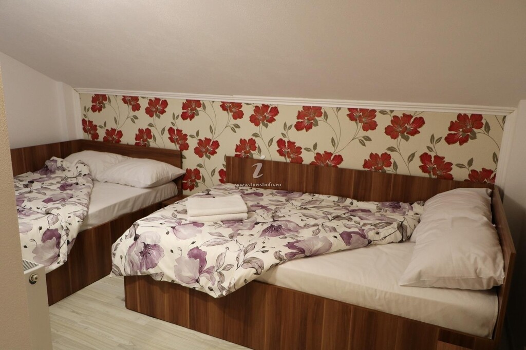 Casa de vacanță Casa Noastră A&A