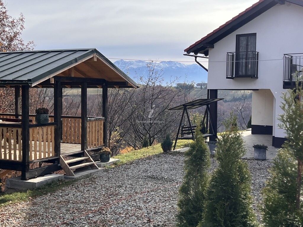 Cabana dintre Fagi