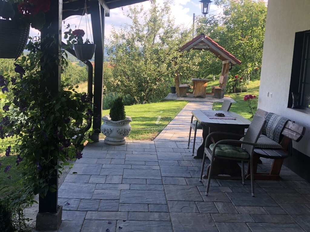Cabana dintre Fagi