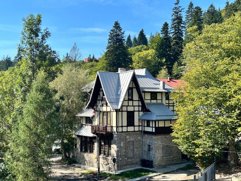 Apartament Mansarda Veche