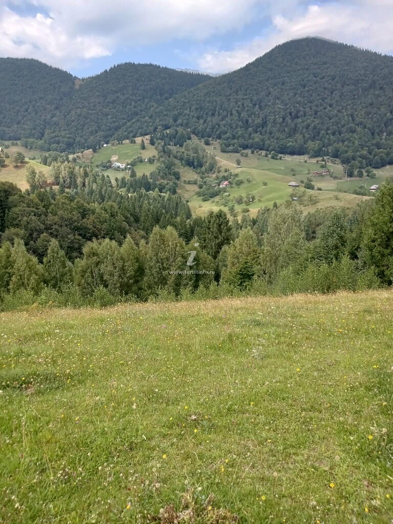 Casa de vacanță Flori de Munte