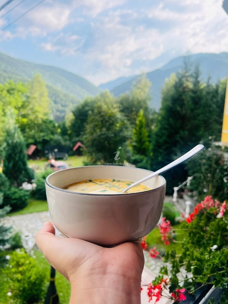 Pensiunea La Mesteceni
