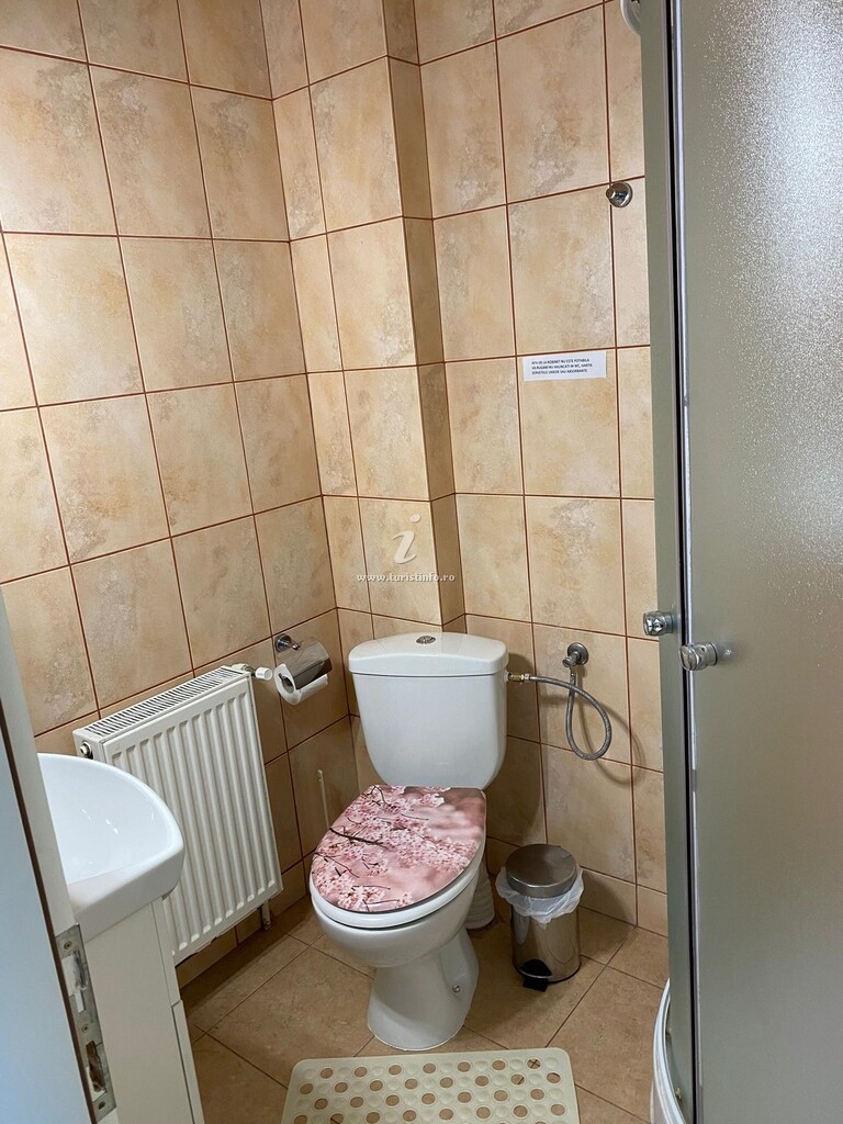 Pensiunea La Mesteceni