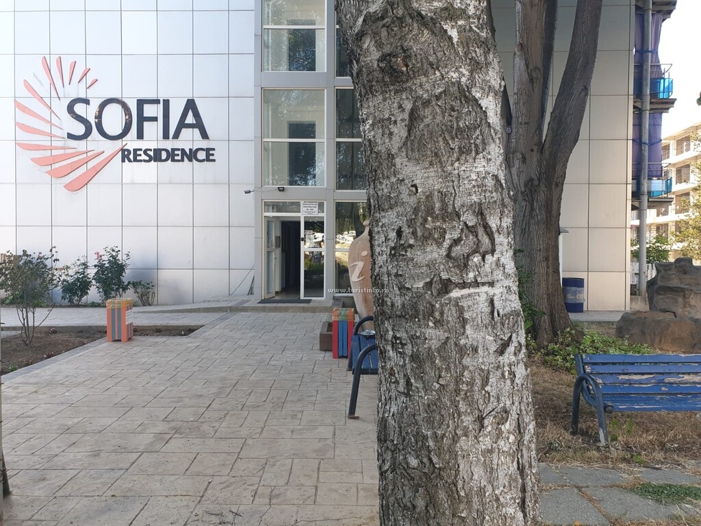 Mario Beta&Sofia