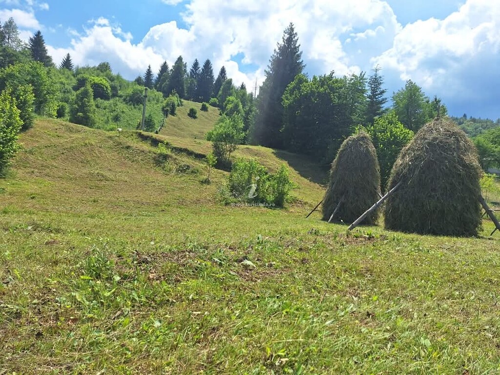Pensiunea Margareta Corp B
