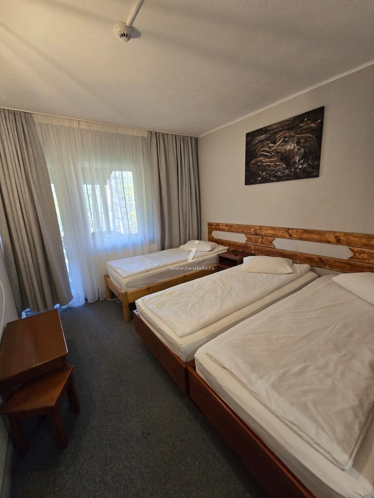Motel Runcosu