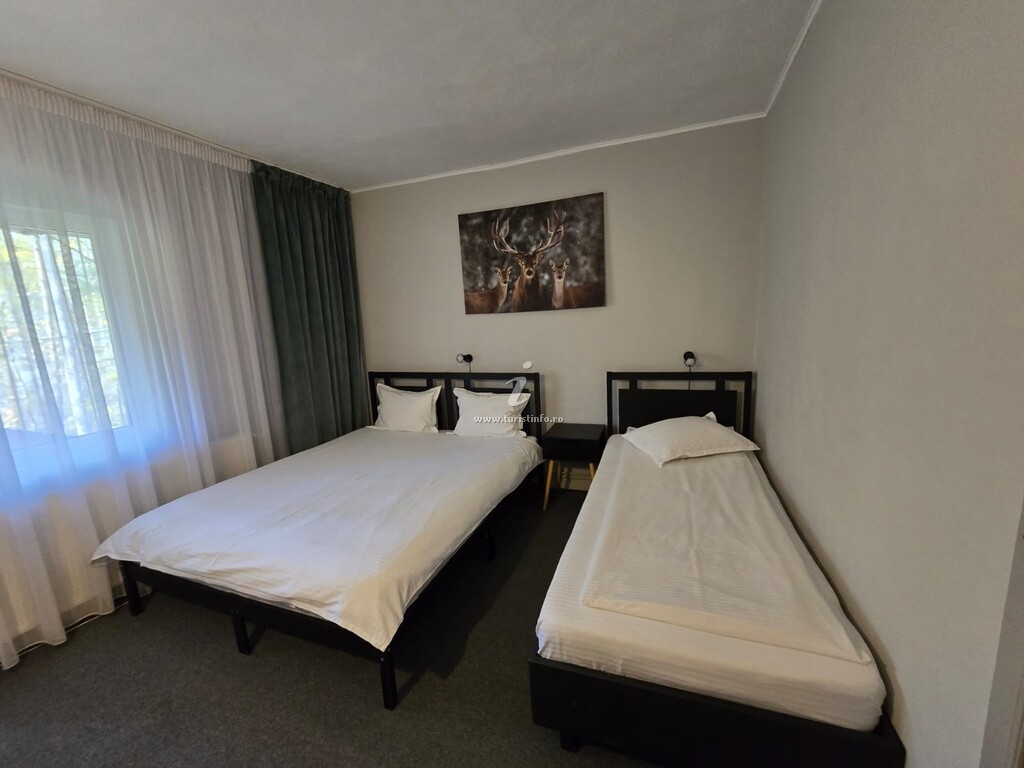 Motel Runcosu