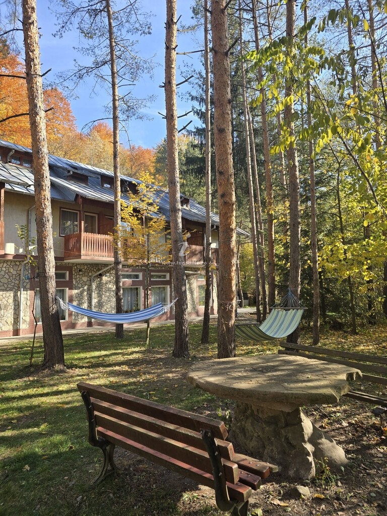 Motel Runcosu