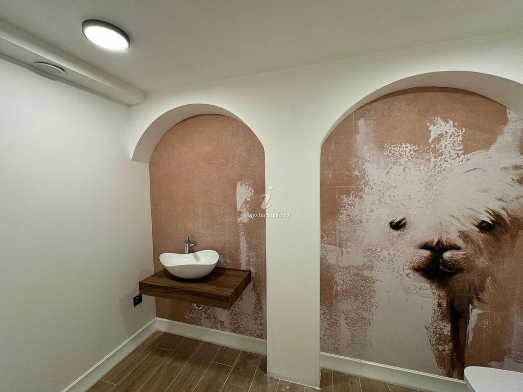 Hotel Sorin Mihai