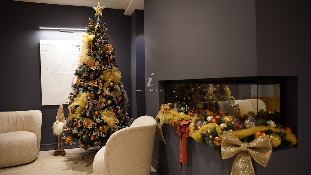 Hotel Sorin Mihai