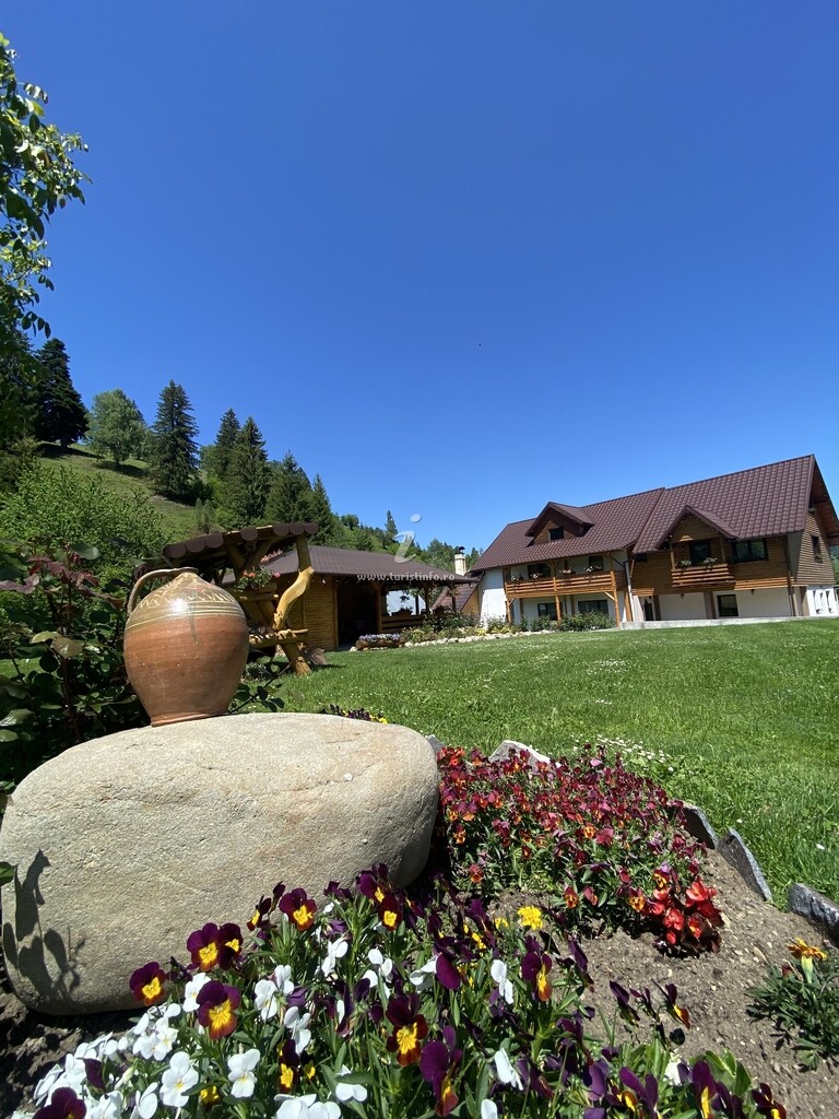 Casa Pancu