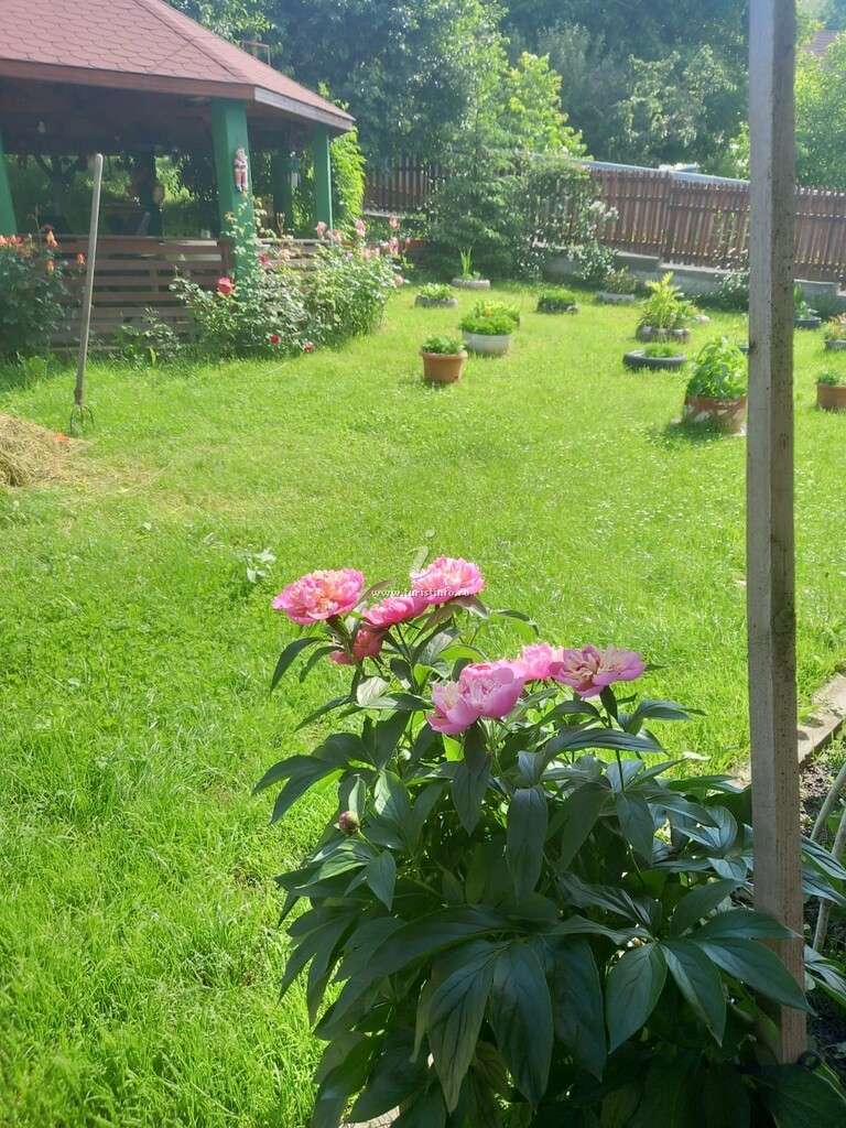 Pensiunea Ursuleț