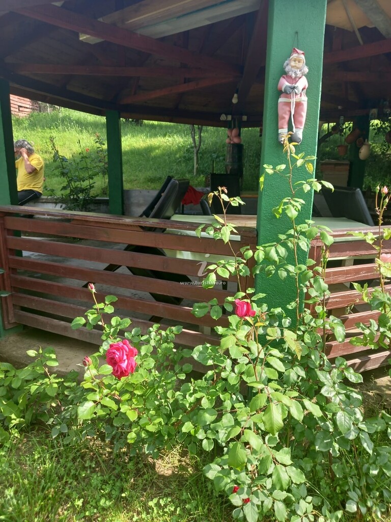 Pensiunea Ursuleț