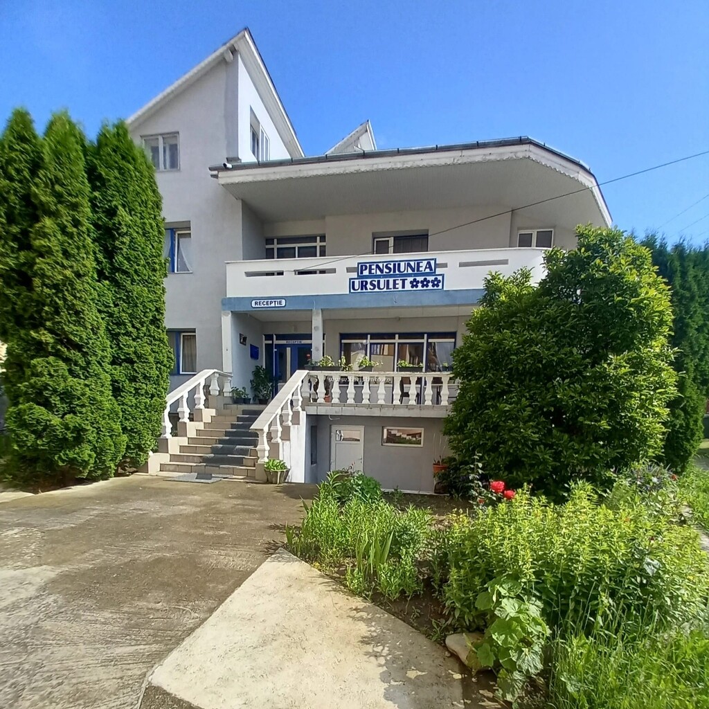 Pensiunea Ursuleț