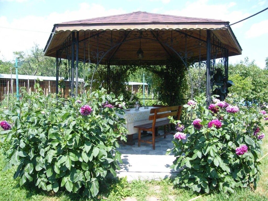Pensiunea Casa Filoxenia
