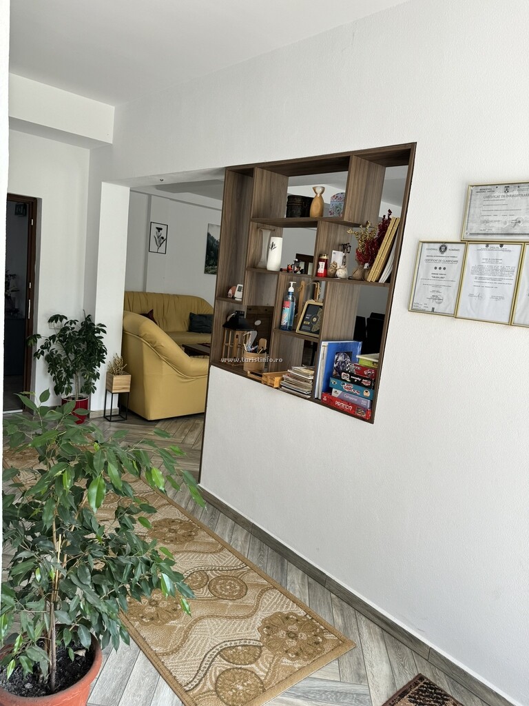 Pensiunea Valea Lisei
