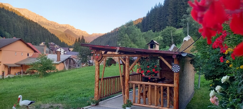 Casa de vacanță Vârf de Munte