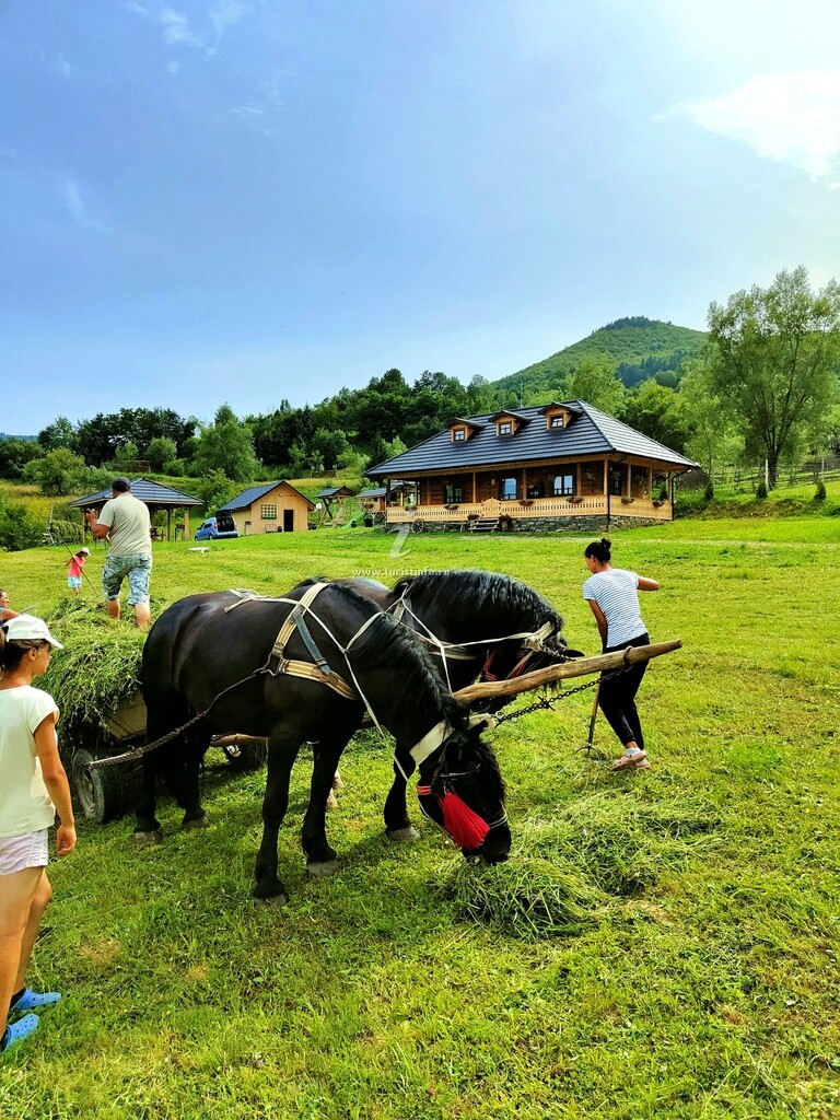 Căsuța din Cotroape