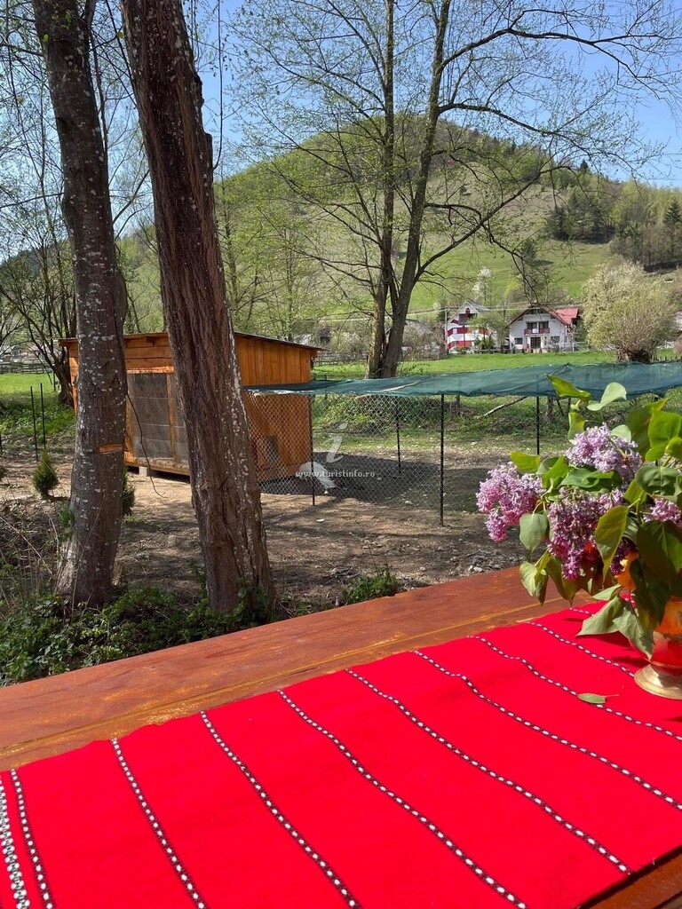 Cabana dintre Munți
