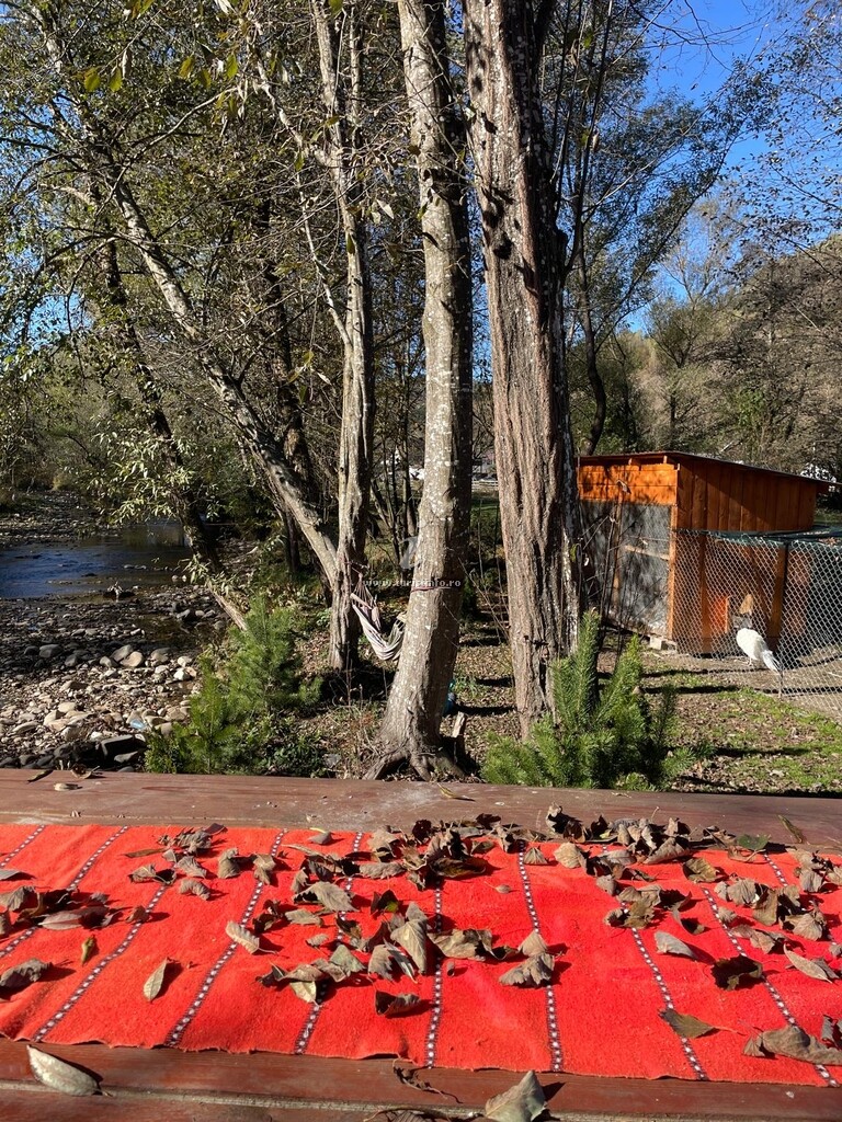 Cabana dintre Munți