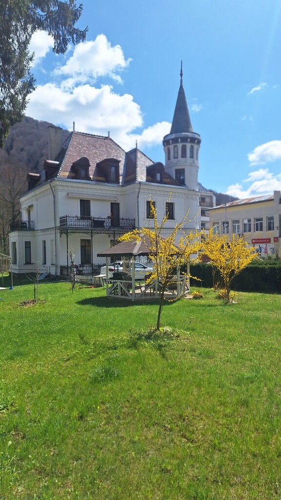 Vila Micul Castel
