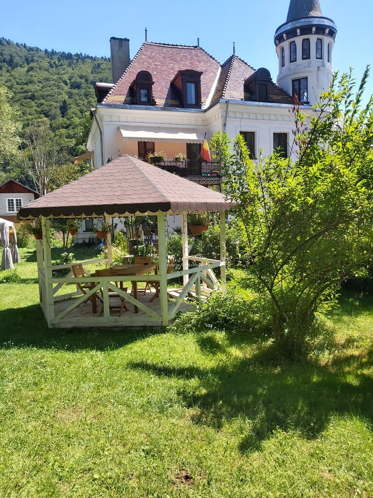 Vila Micul Castel