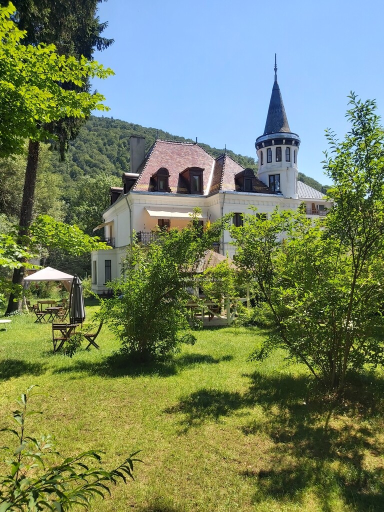 Vila Micul Castel