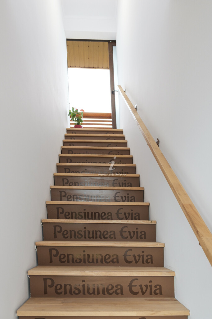 Pensiunea Evia